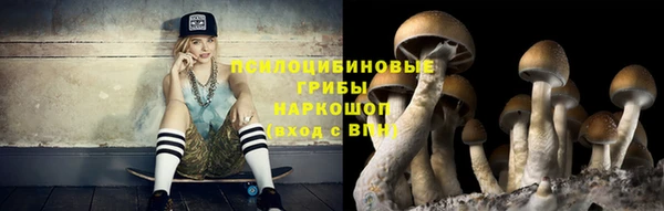 mix Арсеньев