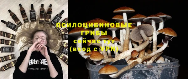 мяу мяу мука Аркадак