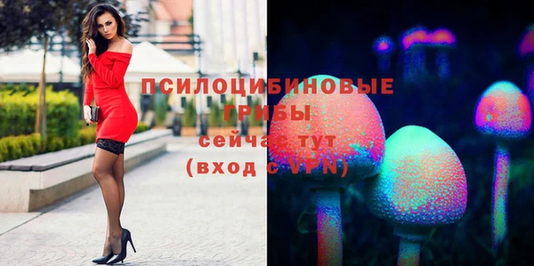 mix Арсеньев