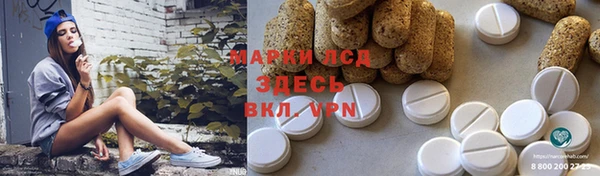 мяу мяу мука Аркадак
