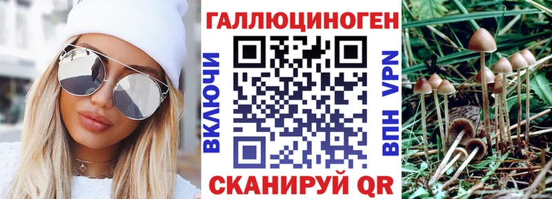 Псилоцибиновые грибы GOLDEN TEACHER  Серафимович 